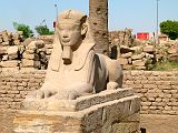 Louxor Temple Allee Sphinx Hommes 0072